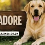 abradore