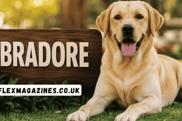 abradore